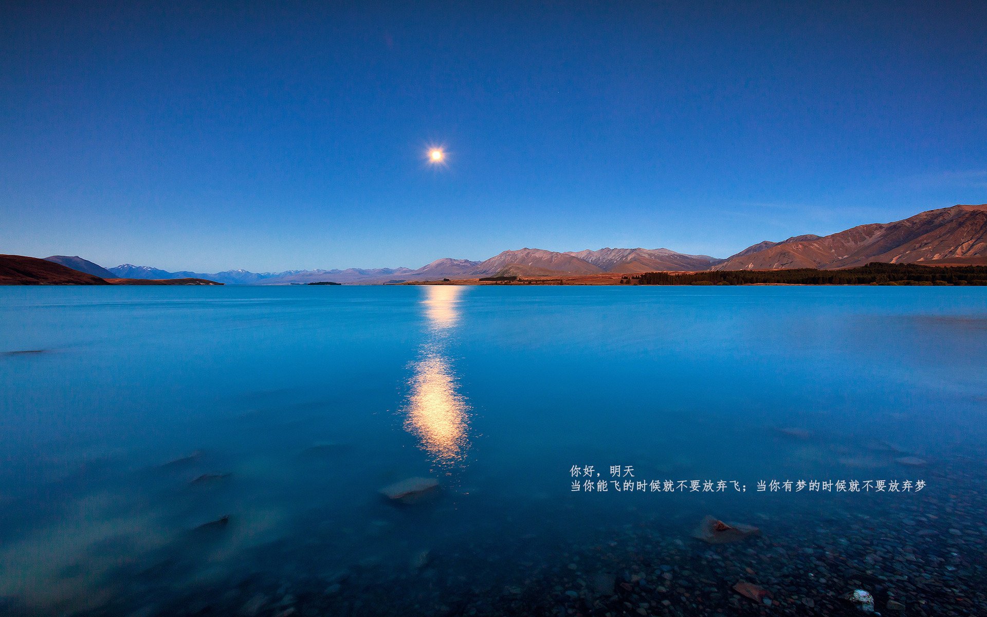 “西甲明星展现超凡技术,点燃赛场激情”,西甲大牌球星