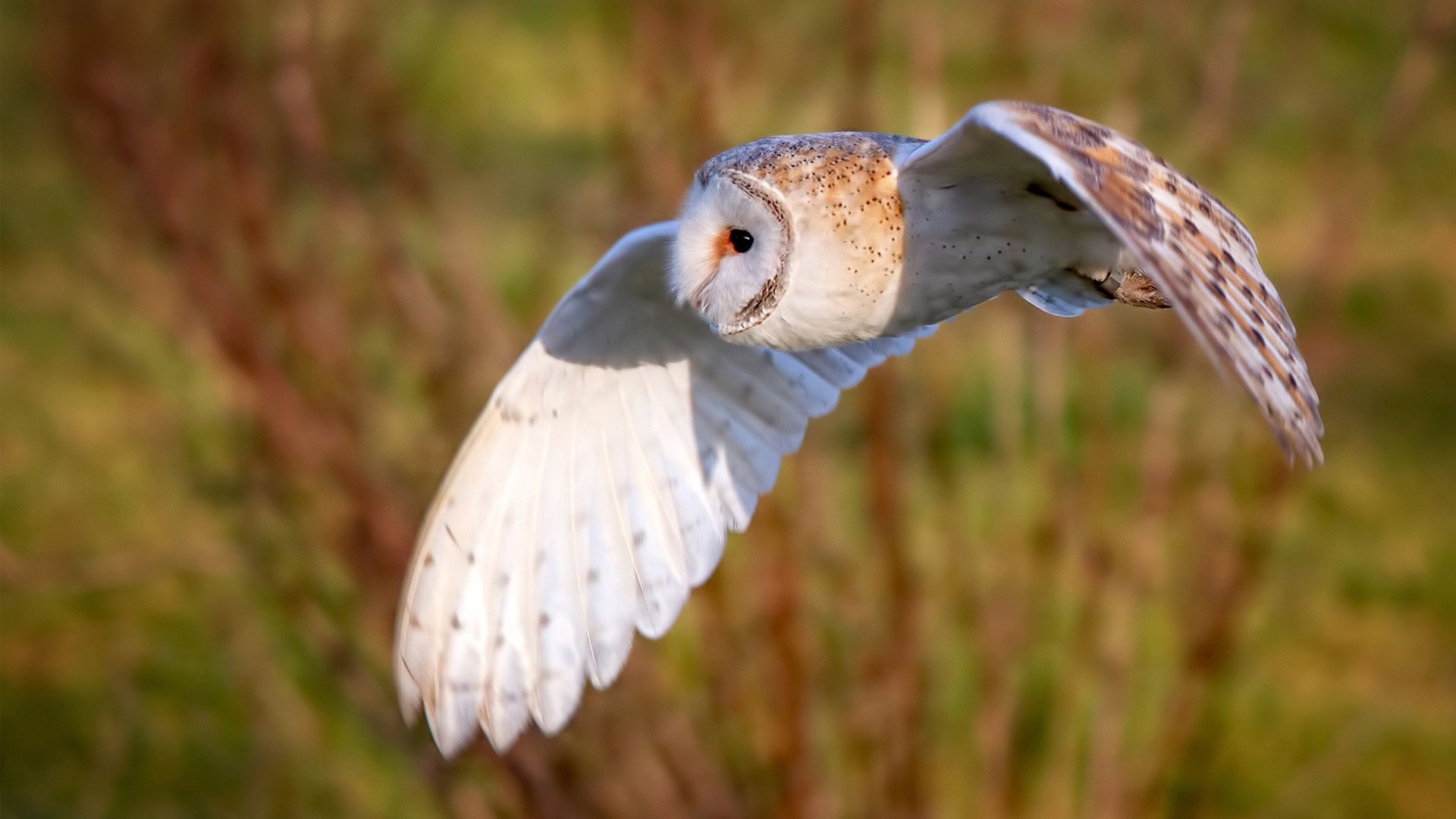 《电竞版权大战:内容授权与保护的重要性》,办电竞比赛版权