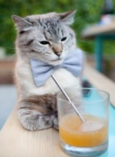 kaiyun app download-从青年到领袖：欧冠顶级明星的成长轨迹，欧冠有哪些明星