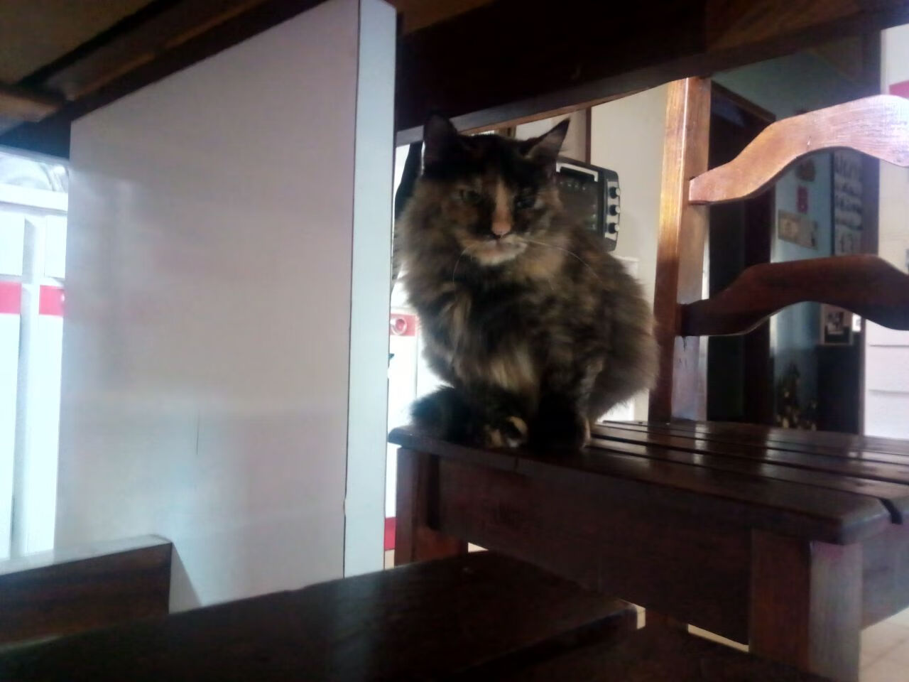 开云体育入口-火箭新训练馆启用AI物理模拟器，提升战术实战感，物理老师模拟火箭