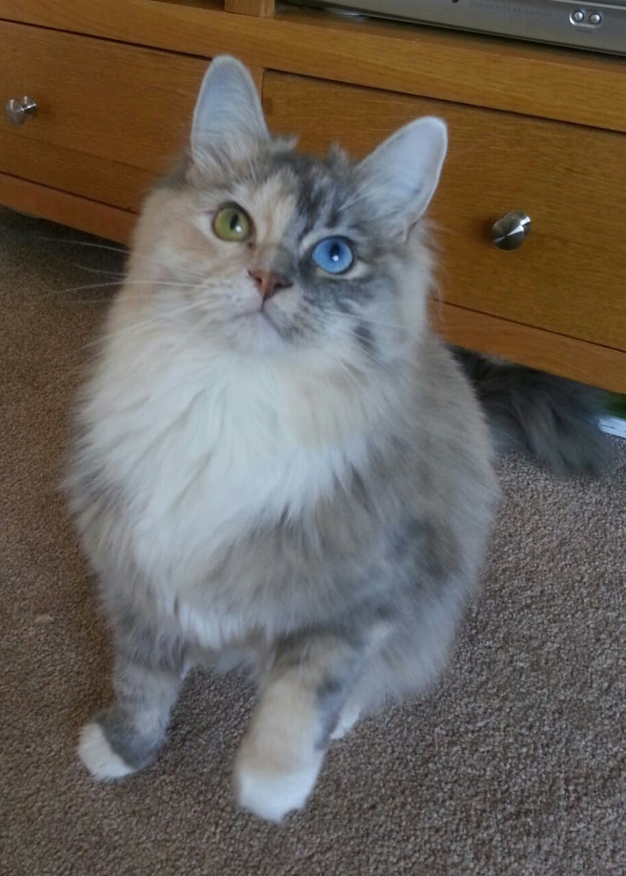 开云在线-特色篮球运动装备审美创新，满足青少年多样化需求，篮球运动基本装备