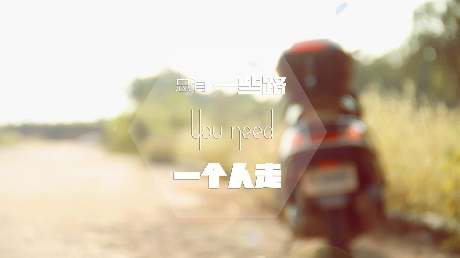 西班牙马术界引入虚拟现实技术,提升马术训练效果。,马术西班牙古典舞步