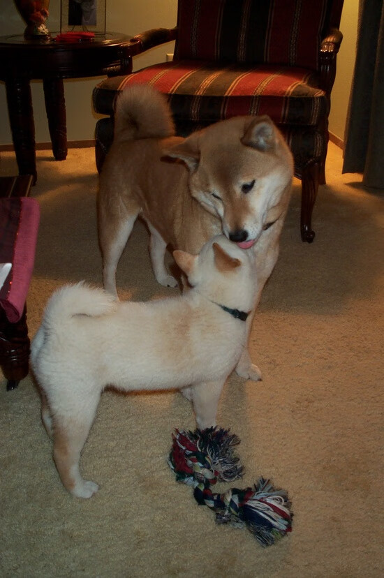 足球全景直播技术试点多角度同步转播，足球直播画面