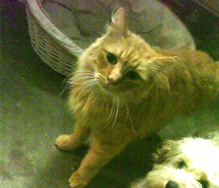 女足世界杯热身赛拉开帷幕,女足世界杯热身赛拉开帷幕是哪一场