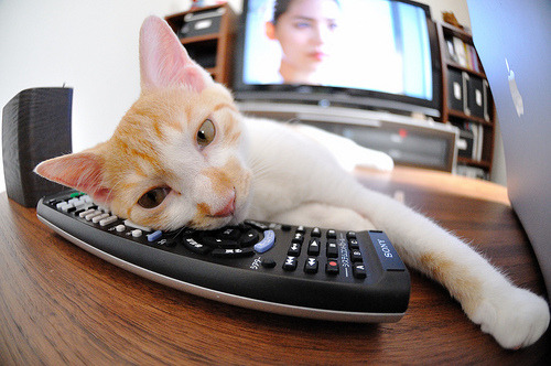 100米自由泳终段冲刺节奏变化，100米自由泳时间对照表