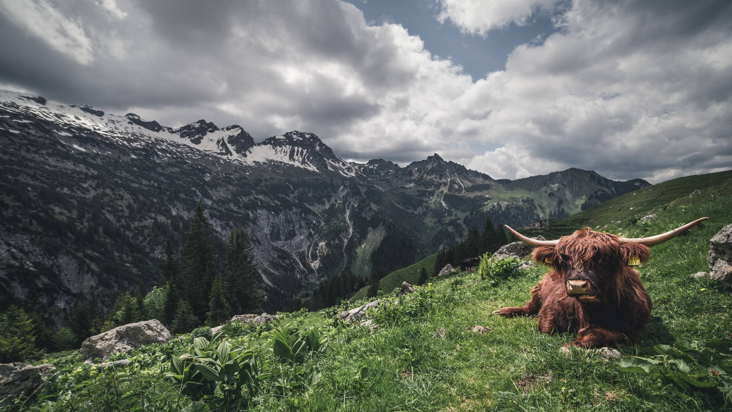 乒乓球机器人亮相助力训练智能升级，trainerbot智能乒乓球机器人